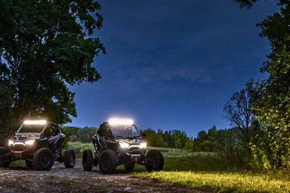 on the trail at night by some trees