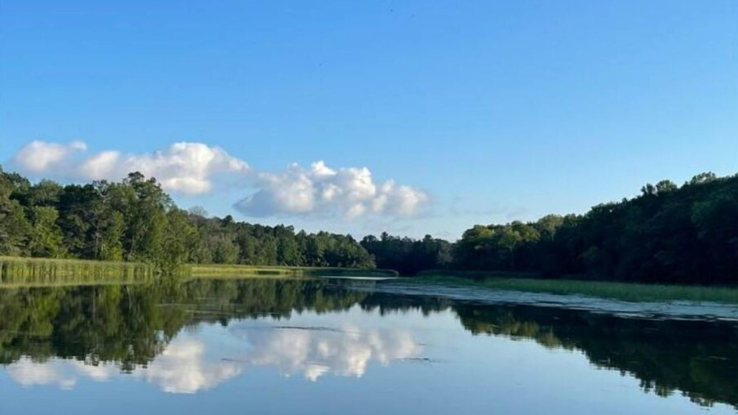a bridge over a body of water surrounded by trees