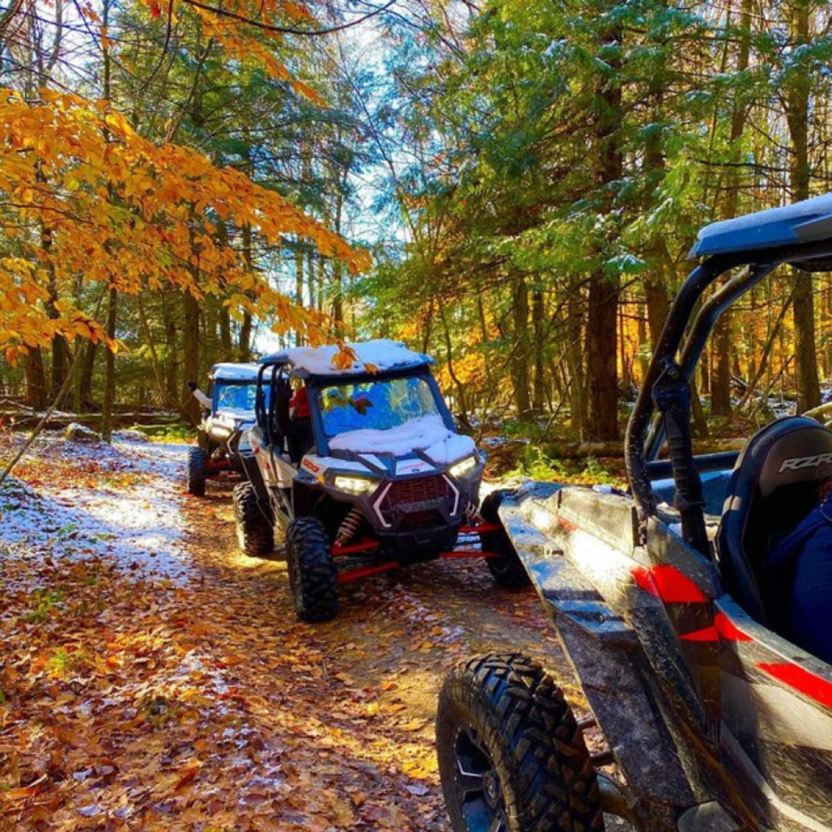 a car parked on pavement near a forest
