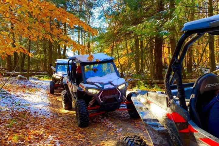 a car parked on pavement near a forest