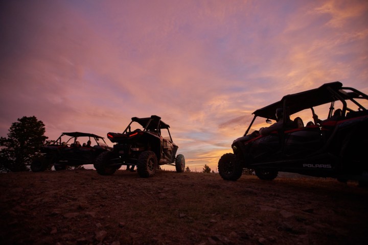 a group of cattle standing on top of a dirt field
