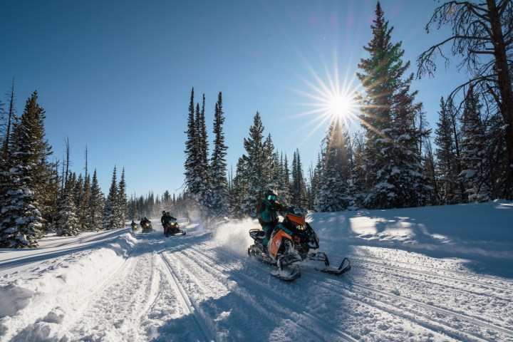People riding snowmobiles through a snowy forest under a bright sun.