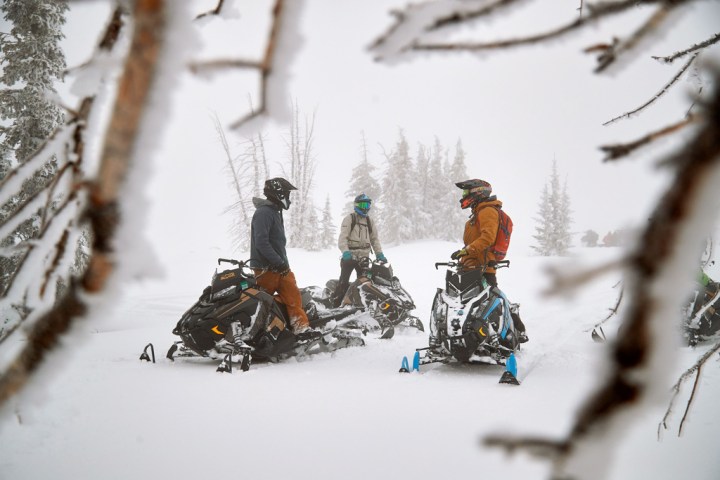 Three people on snowmobiles in snowy forest, framed by tree branches.