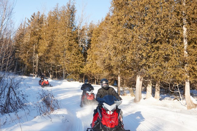 People riding snowmobiles on a snowy trail through a forest with clear blue sky.