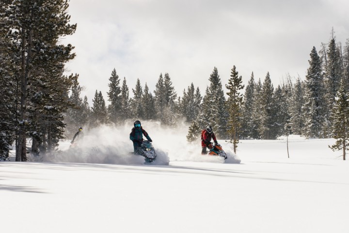 Snowmobiles racing through snowy forest landscape on a sunny day.